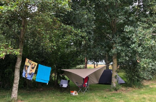 Groene camping Groningen